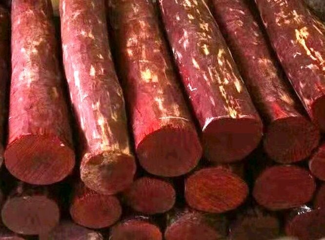 RED SANDALWOOD LOGS